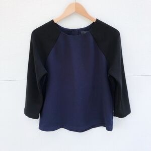 J. Crew Blue and Black Blouse with Long‎ Sleeves